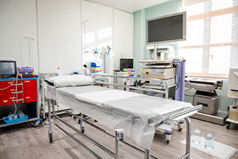ENDOSCOPIA